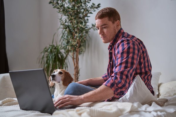 The ultimate guide to the best cities in portugal for digital nomads